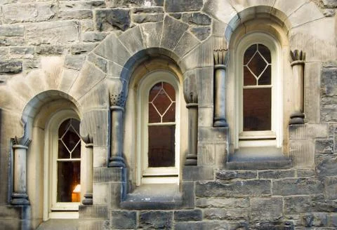 Tree windows Stock Photos