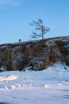 Tree in winter on cliff, landscape image Stock Photos