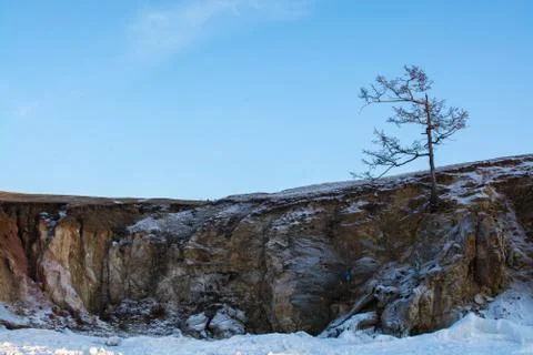 Tree in winter on cliff, landscape image Stock Photos