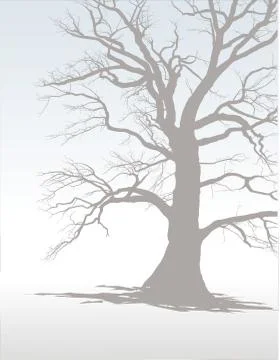Tree In Winter Fog 1 イラスト素材