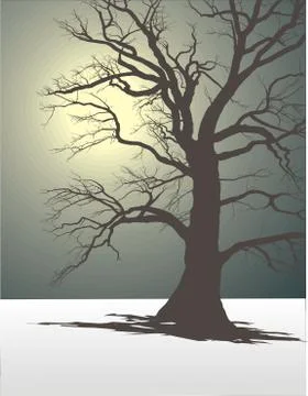 Tree In Winter Fog 1 스톡 일러스트