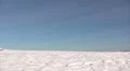 Tree in winter HD Footage