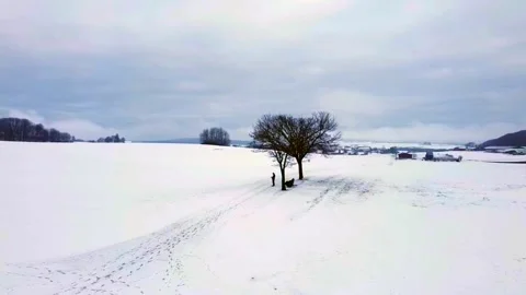 Tree in winter landscape 스톡 동영상 169038520