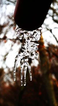 Tree in winter Stock Photos