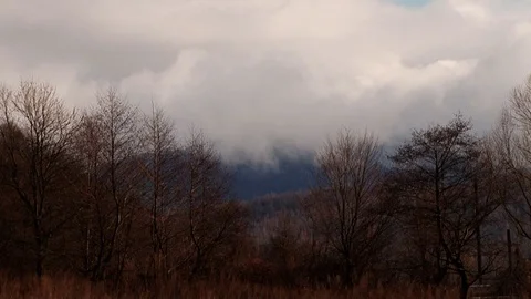Tree without leaves behind a mountain of clouds Stock Footage 70430375