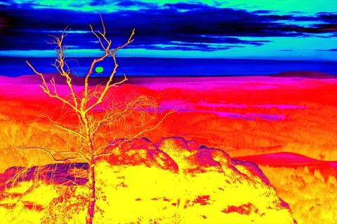 Tree without leaves with blurry horizon in colorful background. Stock Photos