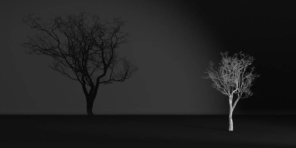 Tree without leaves casts a shadow on a dark wall Stock Illustration