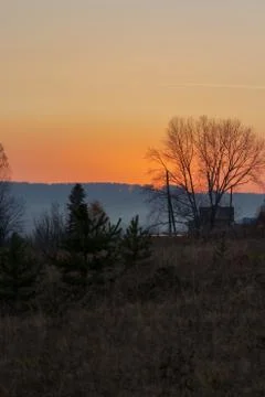 Tree without leaves in a field at sunset Stock Photos