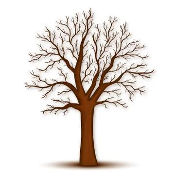 Tree without leaves vector Stock Illustration