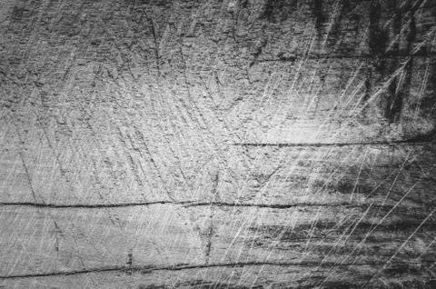 Tree wood background Stock Photos