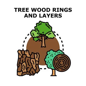 Tree wood sections and annual layers Stock Illustration