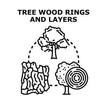 Tree wood sections and annual layers Stock Illustration