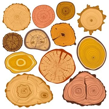 Tree wood slices vector set Stock Illustration