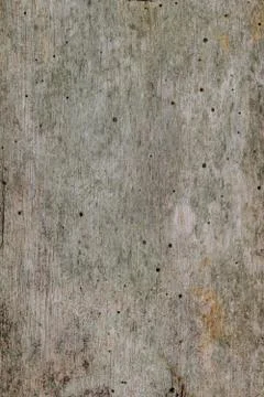Tree wood texture Stock Photos