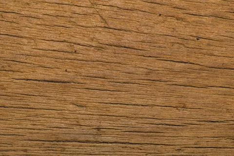 Tree wood texture Stock Photos