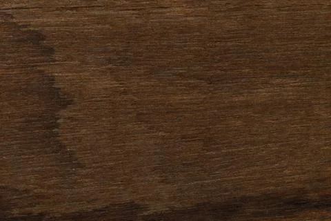 Tree wood texture Stock Photos