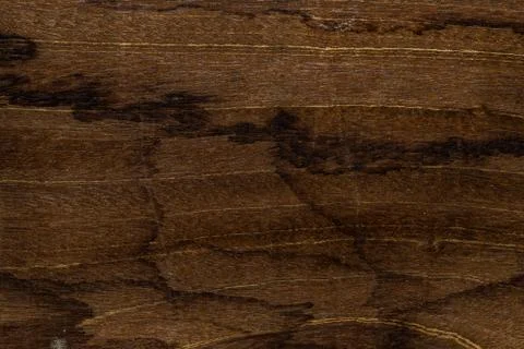 Tree wood texture Stock Photos