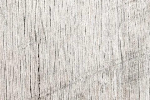 Tree wood texture Stock Photos