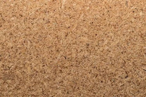 Tree wood texture Stock Photos