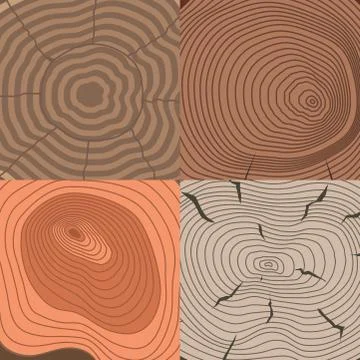 Tree wood trunk slice texture circle cut wooden raw material vector detail plant Illustrazione stock