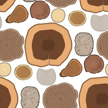 Tree wood trunk slice texture circle cut wooden raw material vector detail plant Illustrazione stock