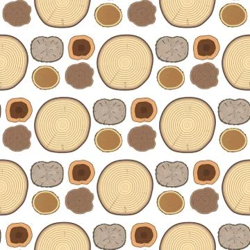 Tree wood trunk slice texture circle cut wooden raw material vector detail plant Stock Illustration
