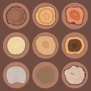 Tree wood trunk slice texture circle cut wooden raw material vector detail plant イラスト素材
