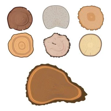 Tree wood trunk slice texture circle cut wooden raw material vector detail plant 스톡 일러스트