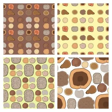 Tree wood trunk slice texture circle cut wooden raw material vector detail plant Illustrazione stock