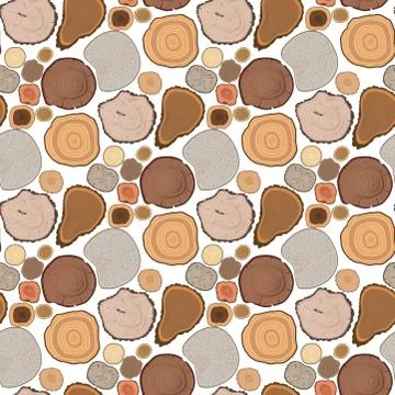 Tree wood trunk slice texture circle cut wooden raw material vector detail plant Stock Illustration