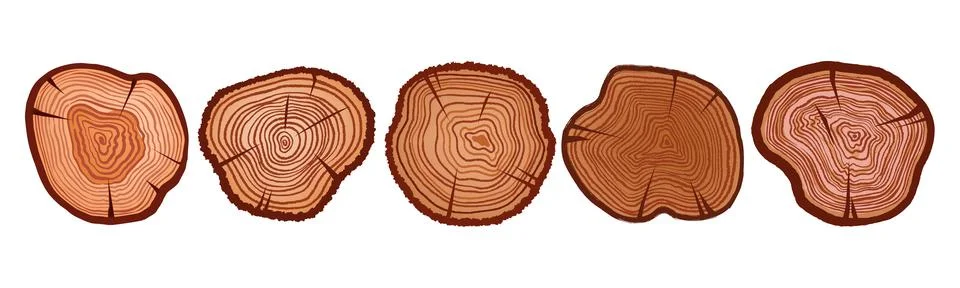 Tree wooden cut vector set, timber cross-section history circle on white Stock Illustration