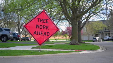 Tree work ahead road sign in residential neighborhood. Warning sign about tree Stock Footage 334027979