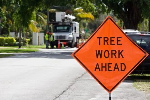 Tree Work Ahead Sign Stock Photos