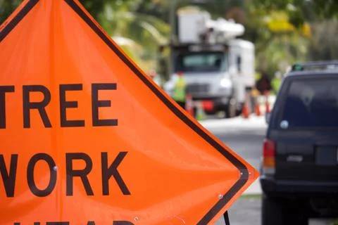 Tree Work Ahead Sign Stock Photos