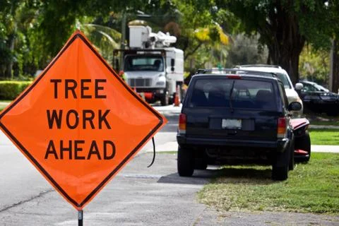 Tree Work Ahead Sign Stock-Fotos