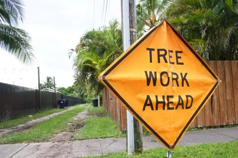 Tree Work Ahead Sign Foto stock