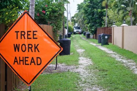 Tree Work Ahead Sign Stock Photos
