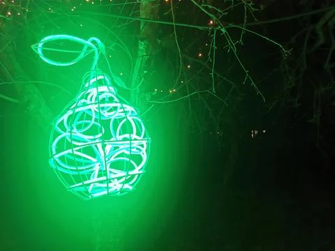 Tree in the yard illuminated at night Stock Photos