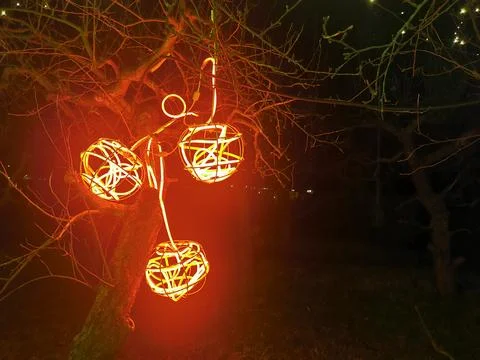 Tree in the yard illuminated at night Stock Photos