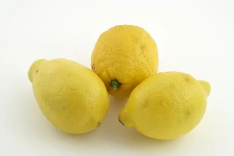 Tree yellow lemon on white background Fotos Stock