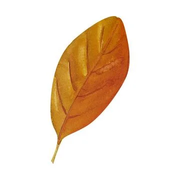 Tree yellow orange and red fall leaves. Autumn foliage watercolor realistic.. Stock Illustration