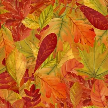 Tree yellow orange and red fall leaves. Autumn foliage watercolor realistic s Stock Illustration