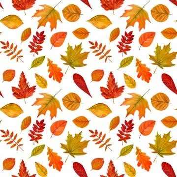 Tree yellow orange and red fall leaves. Autumn foliage watercolor realistic s Stock Illustration