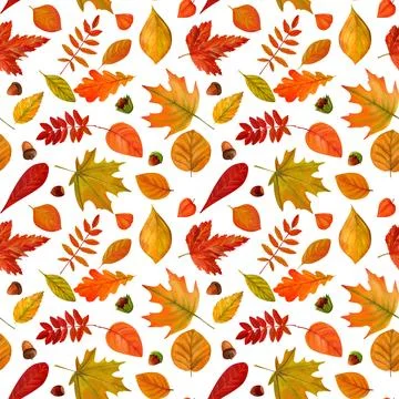 Tree yellow orange and red fall leaves. Autumn foliage watercolor realistic s Stock Illustration