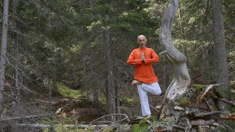 Tree yoga pose, vrksasana Stock Footage 124552672