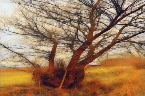 Tree_Shot  for poster Stock-Fotos