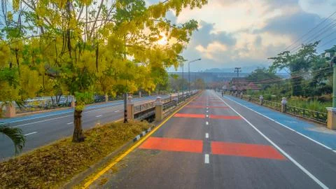 Treeet to dam Stock Photos