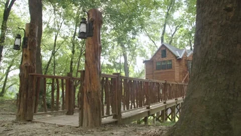 Treehouse Cabin Stock Footage 139320980