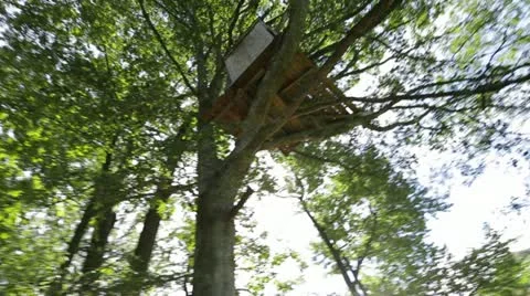 Treehouse Stockbeeldmateriaal 21789262