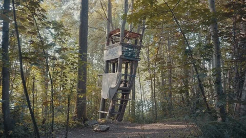 Treehouse 스톡 동영상 91228918